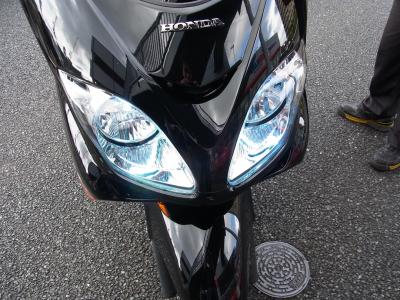 forza(mf08).10.jpg