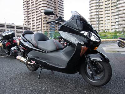 forza(mf08).11.jpg
