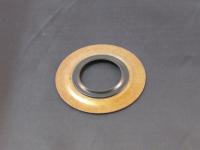 OilSeal.jpg
