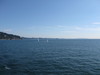 09101131.jpg