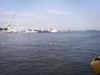 09101711.JPG
