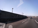 1002071.JPG